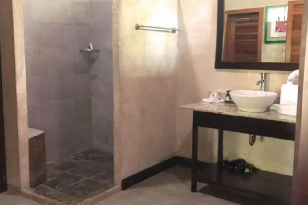 Photo - The Falls at Manuel Antonio