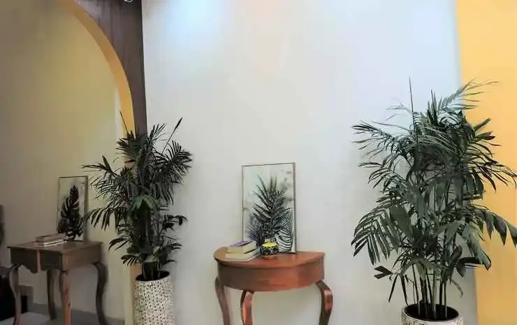 Foto - Chez Mimosa Homestay