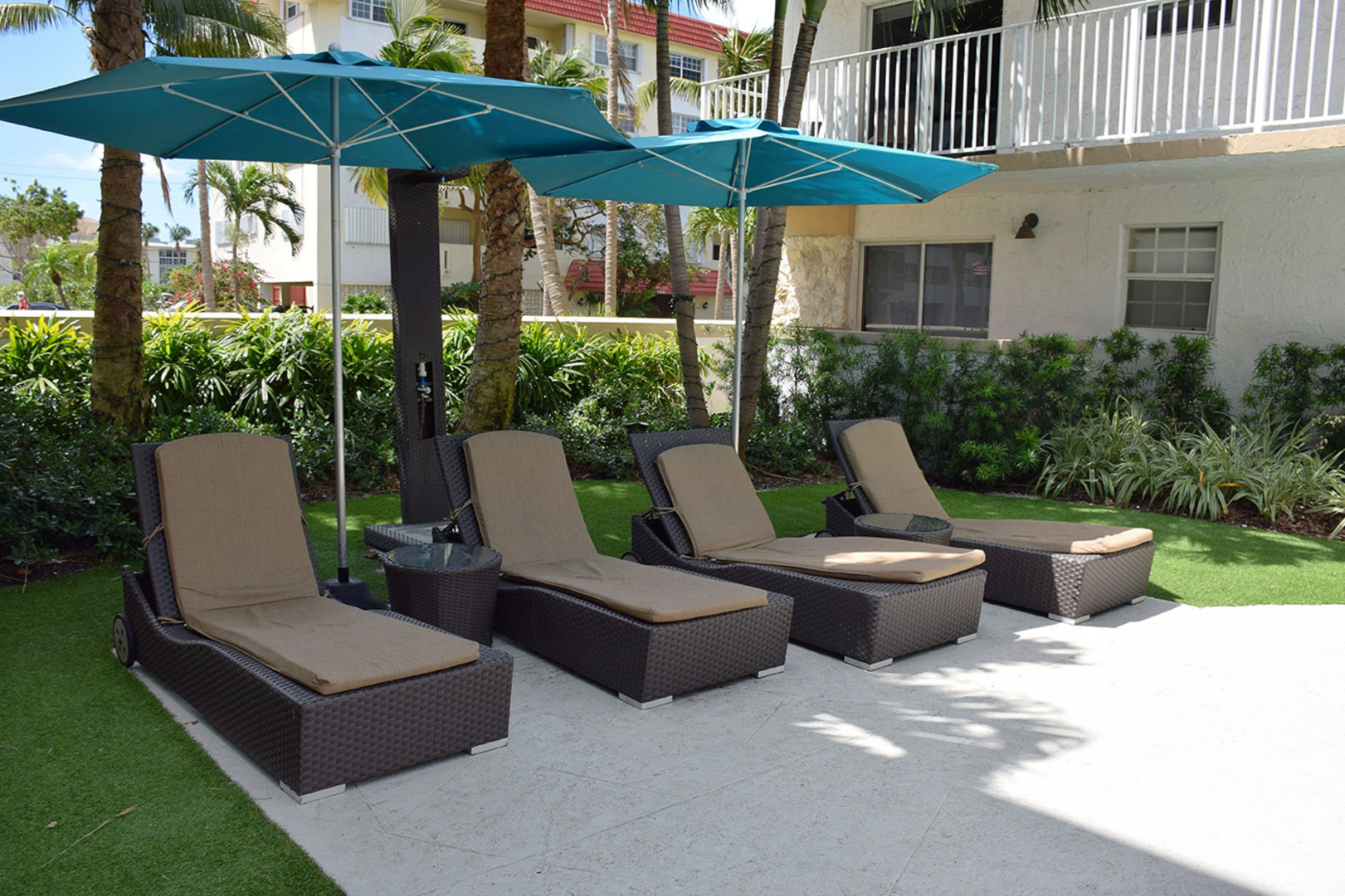 Photo - Coral Reef at Key Biscayne
