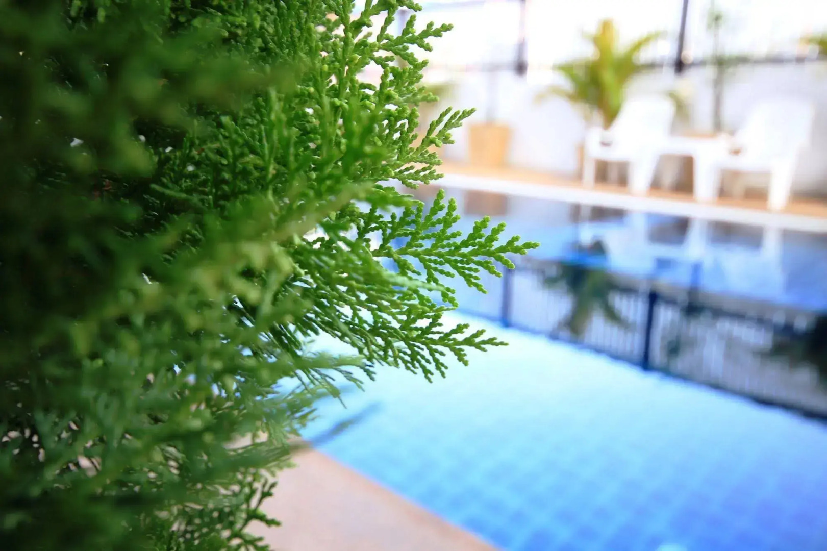 Foto - Airport Resident