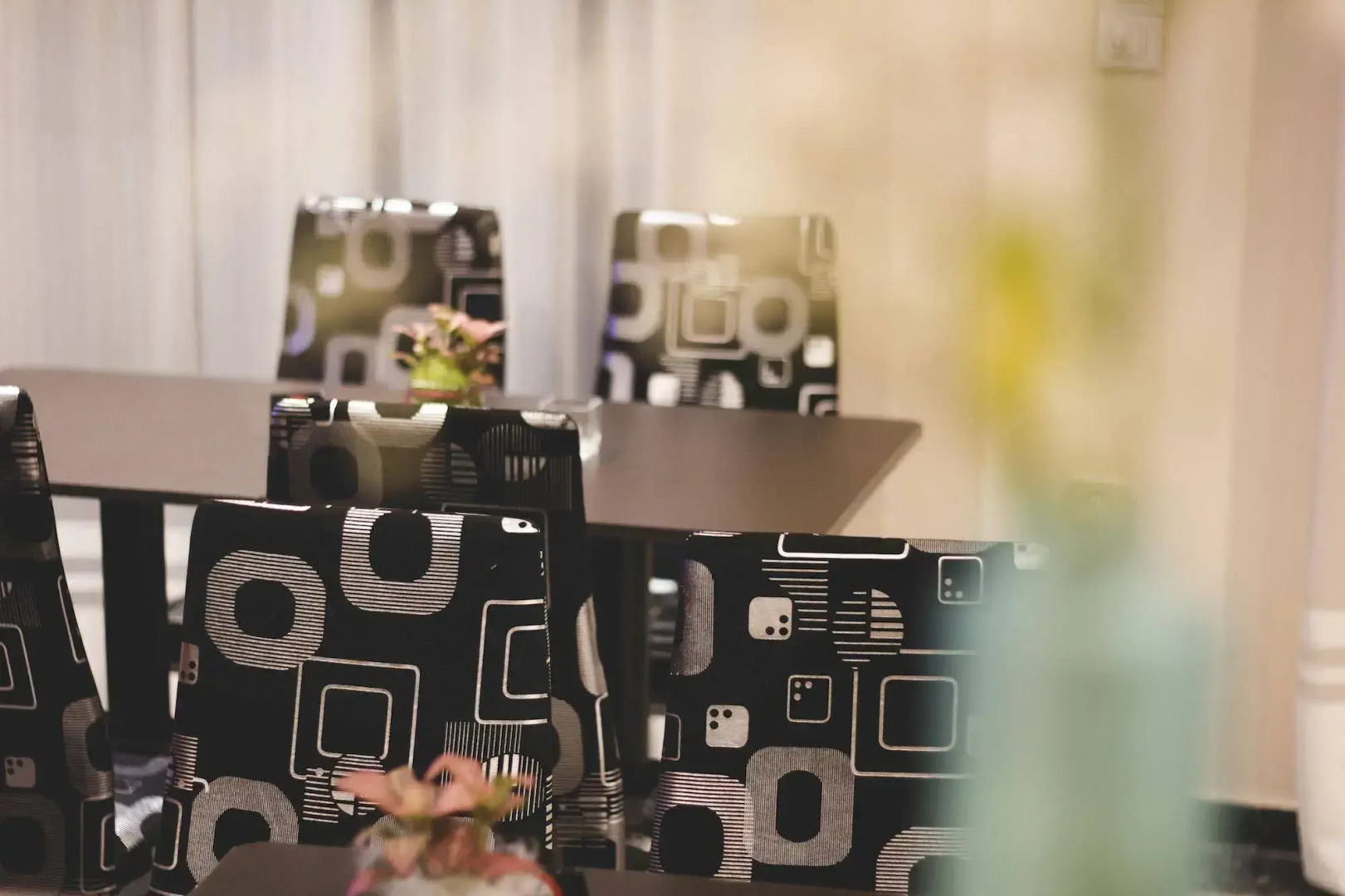 Foto - Zappion Hotel