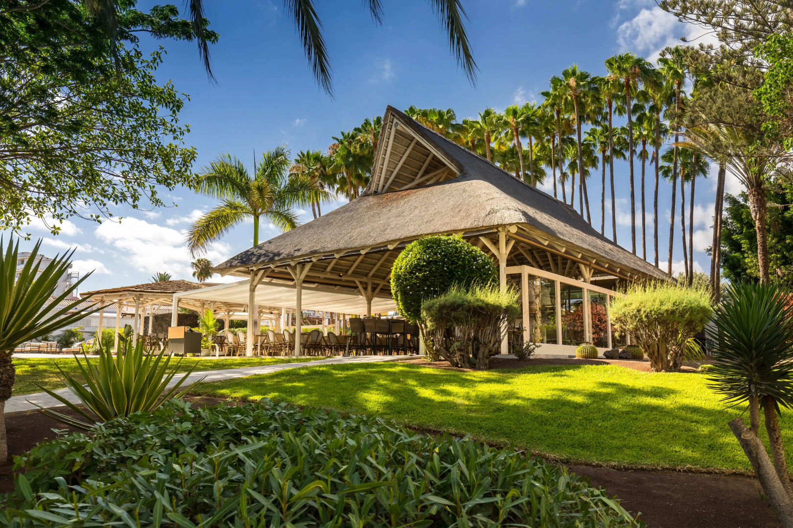 Foto - Barceló Margaritas Royal Level Adults Only