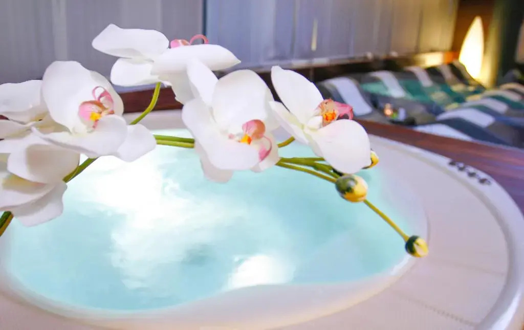 Foto - Hotel Aristos