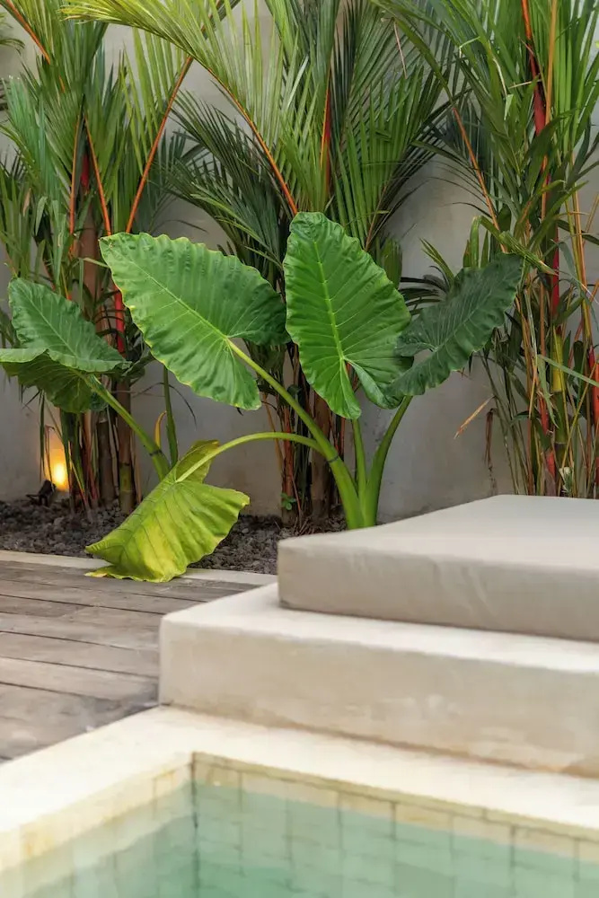 Photo - SIVANA, Hotel Boutique with ocean or garden views - Adults only