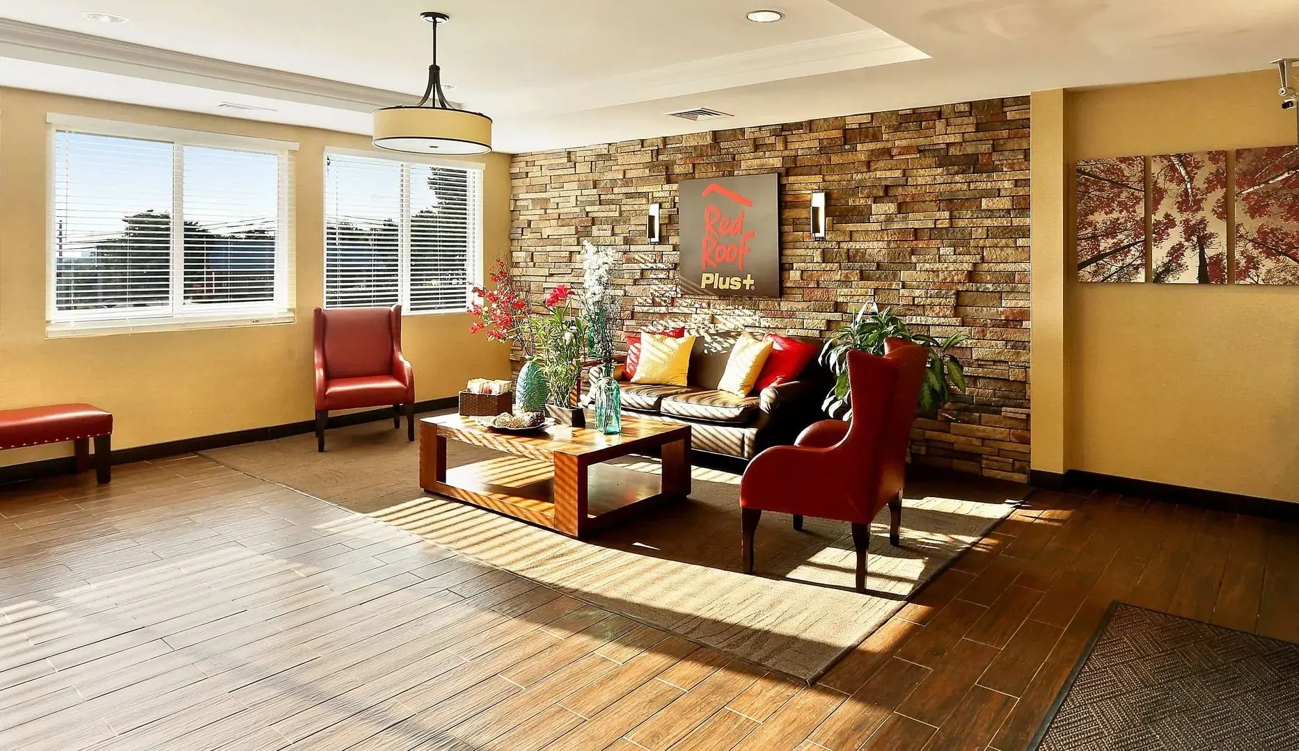 Photo - Red Roof Inn PLUS+ Washington DC Rockville