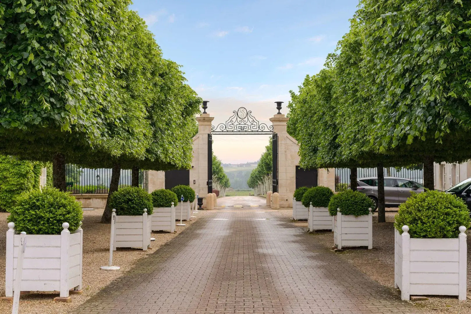 Foto - Château de Pizay