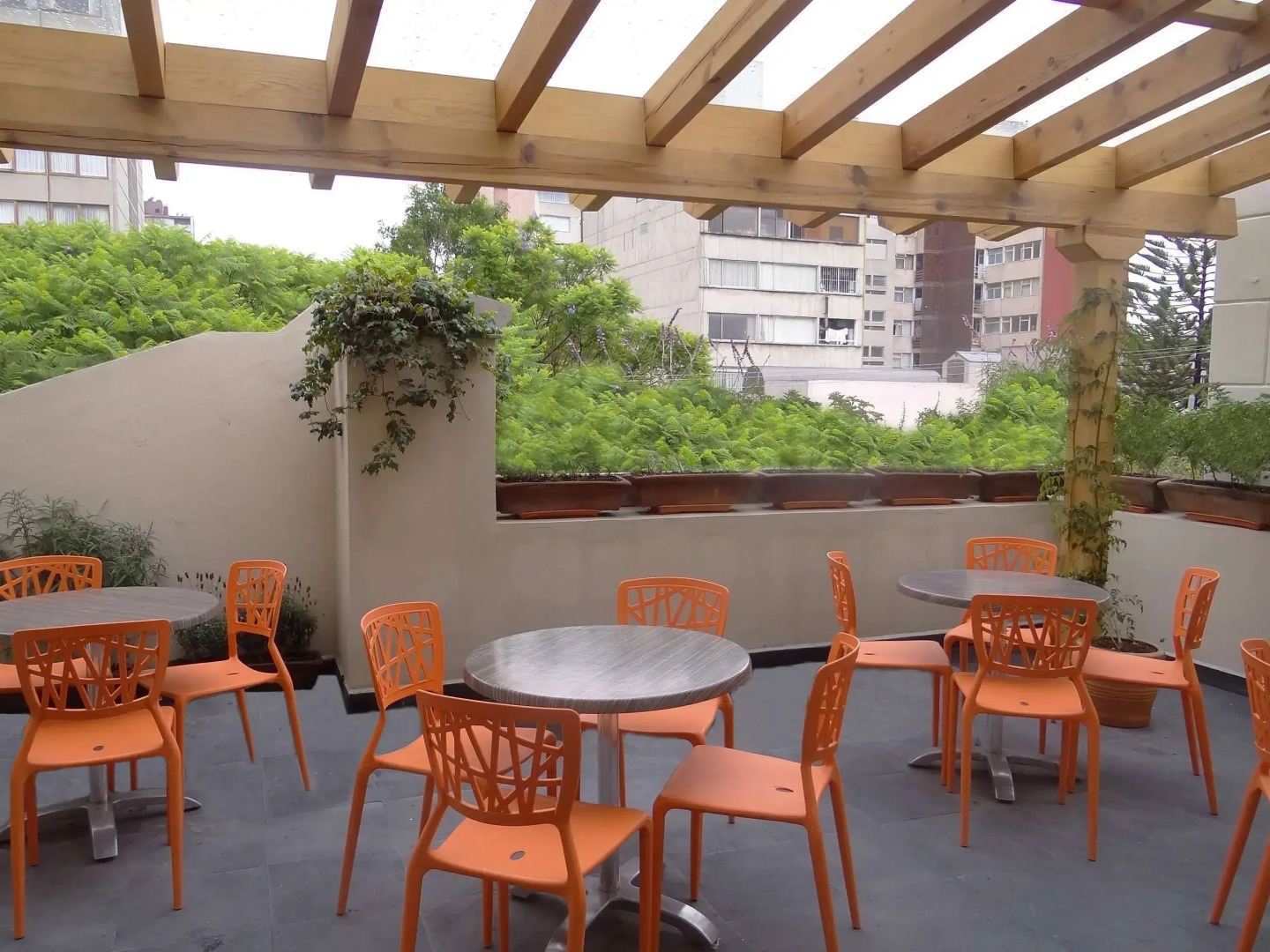 Foto - Senia Reforma