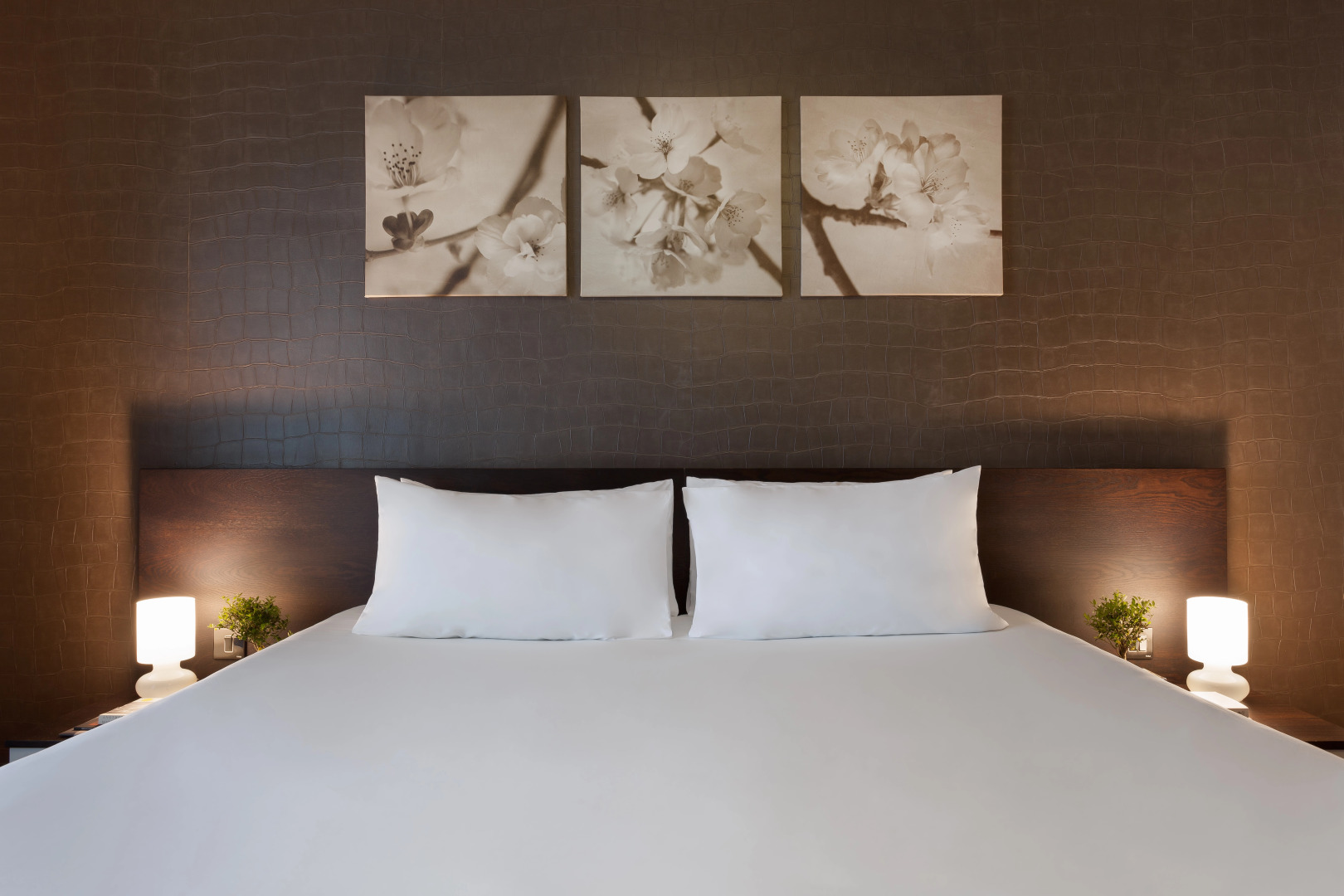 Photo - Hotel Argento