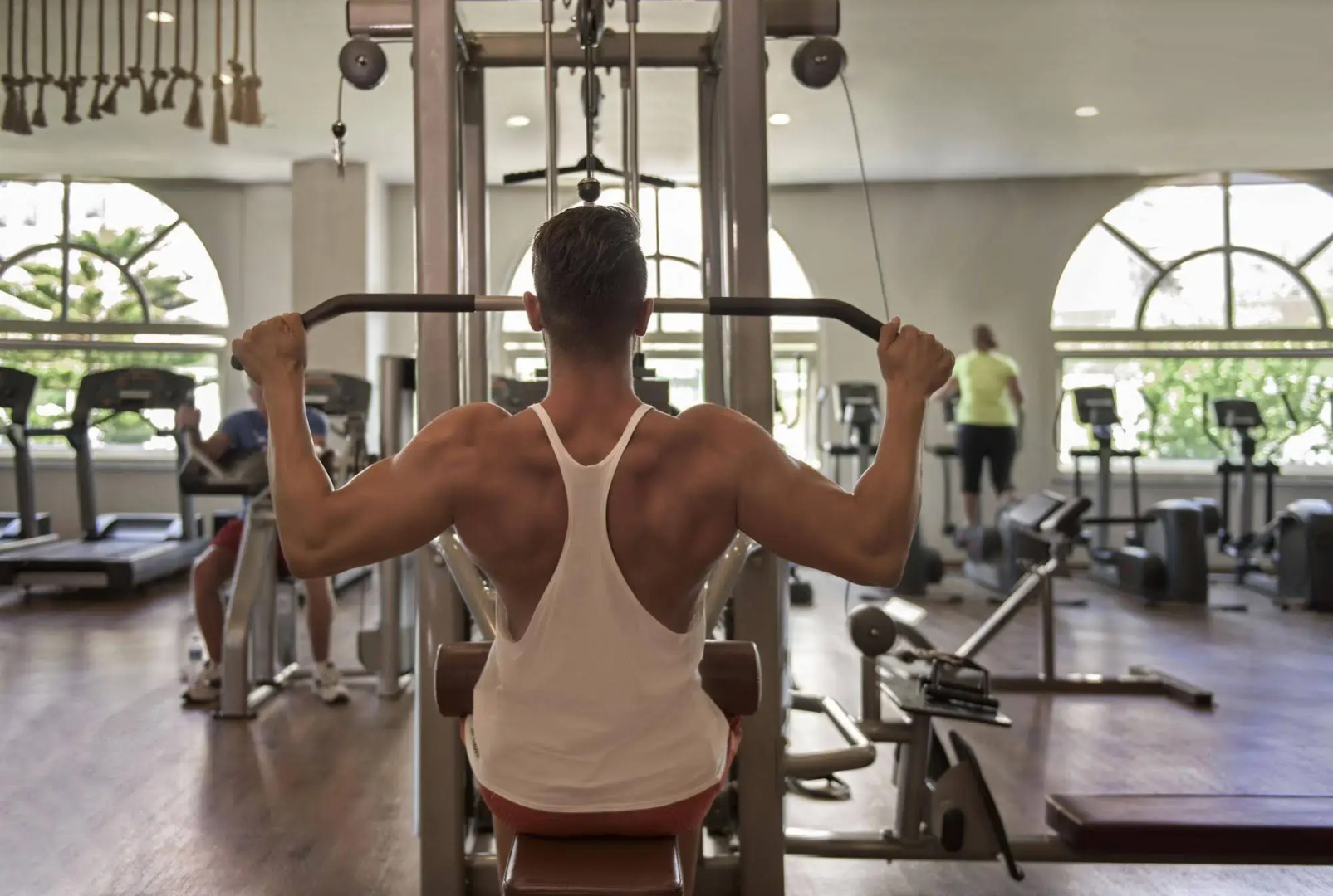 Foto - Delphin Imperial Lara