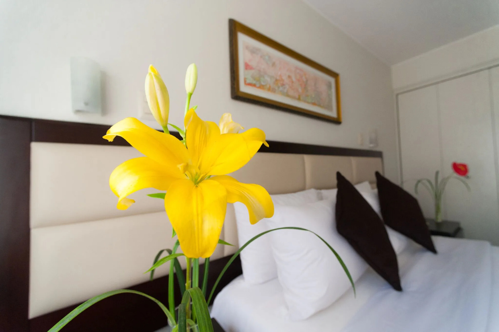 Foto - Roosevelt Hotel & Suites