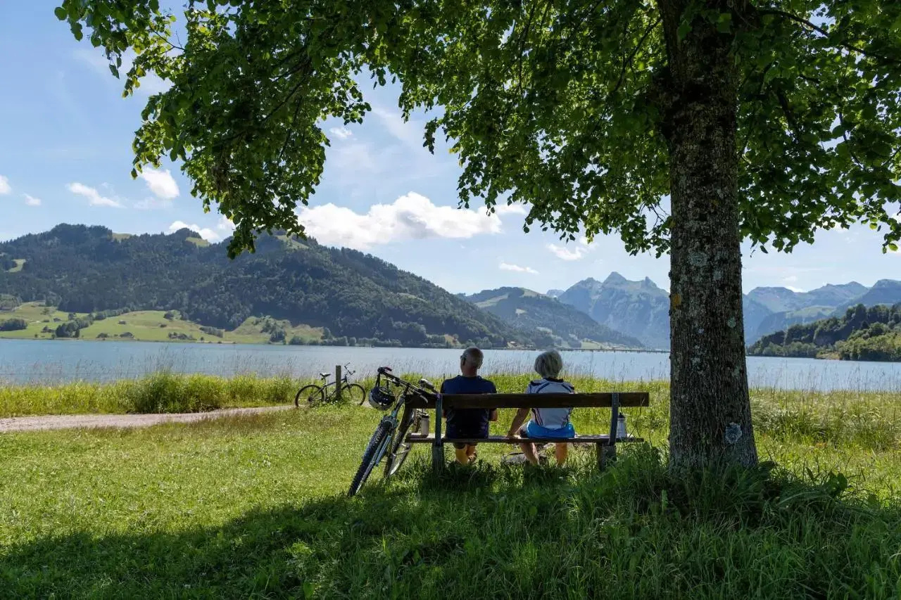 Photo - Tailormade Hotel SIHLPARK Schindellegi