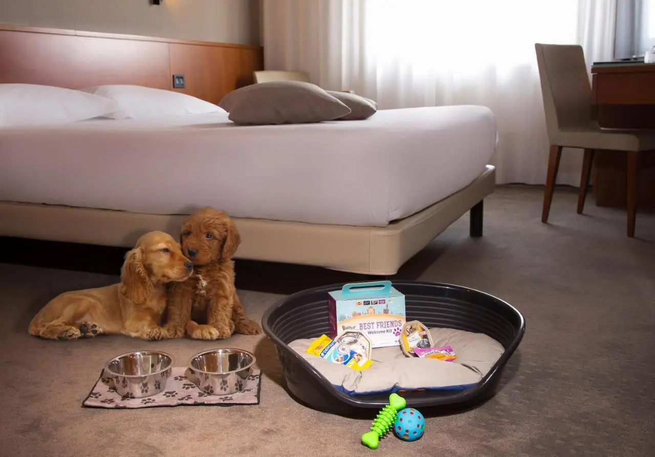 Photo - Best Western Hotel Turismo