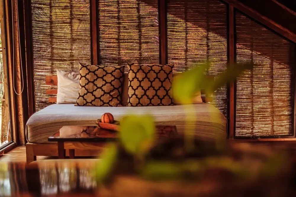 Foto - Vida Silvestre Tulum