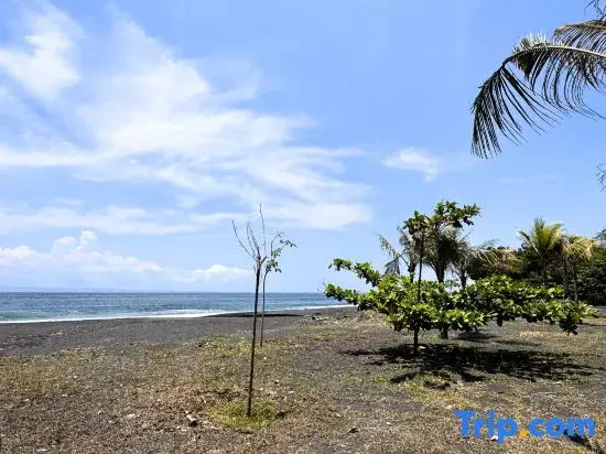 Foto - Quenzo Beach Resort