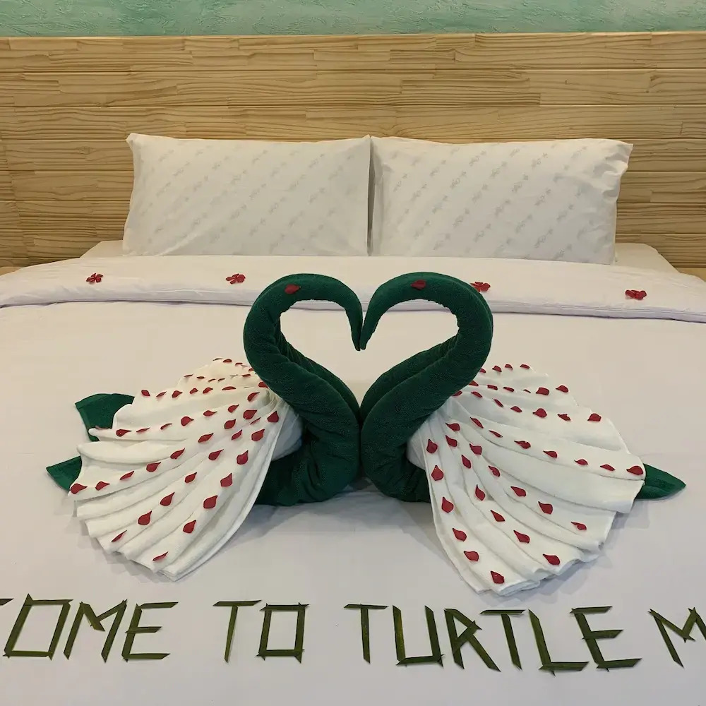 Photo - Turtle Maldives - Your Gateway to the Beach & Marine Adventures Await!