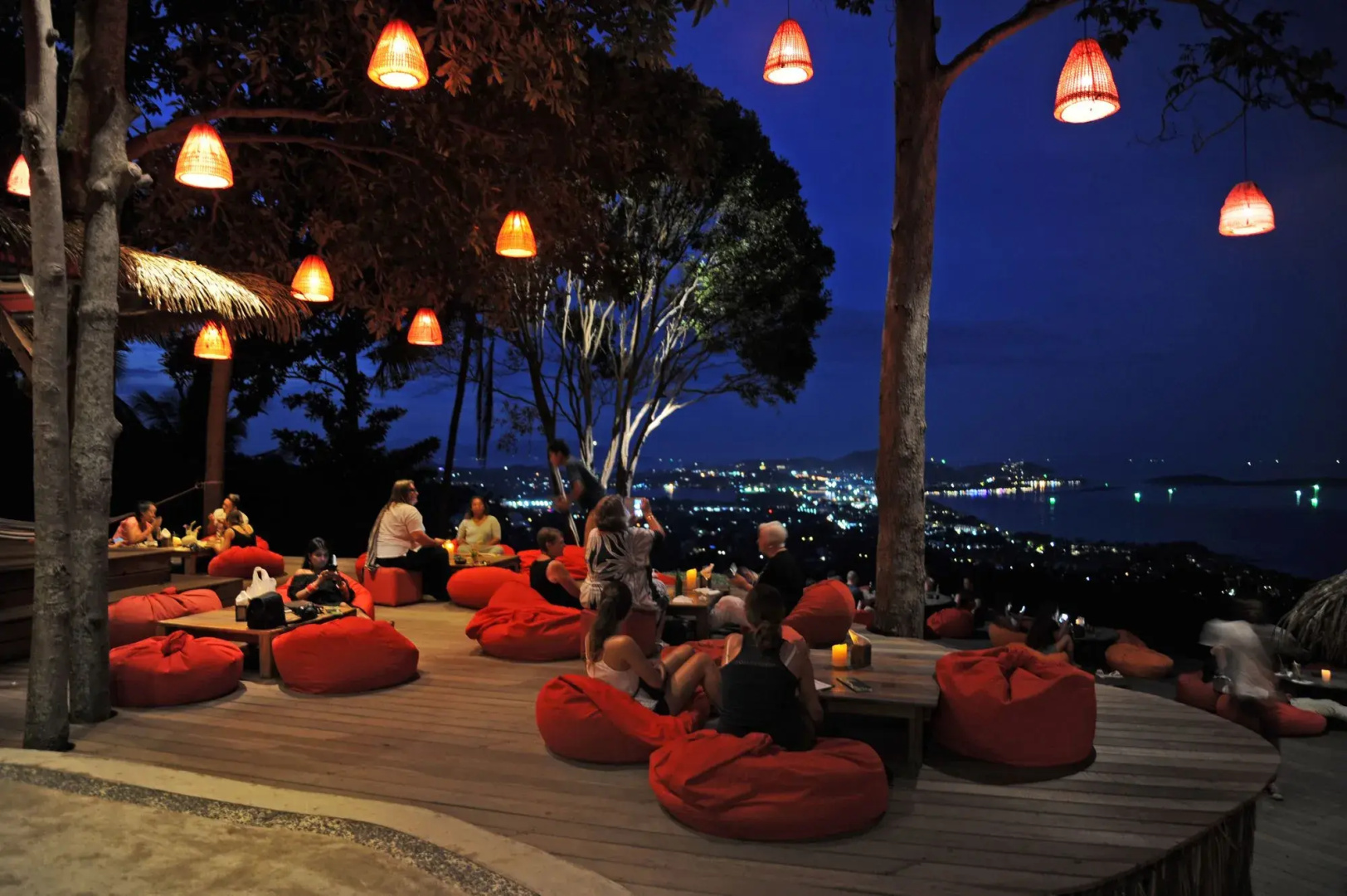 Photo - The Jungle Club