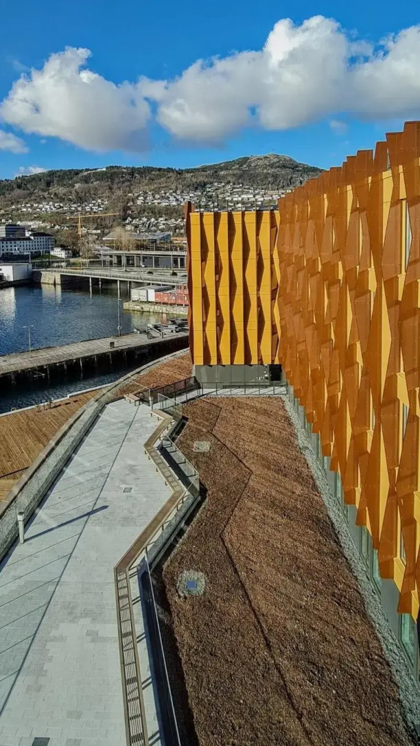 Photo - Moxy Bergen