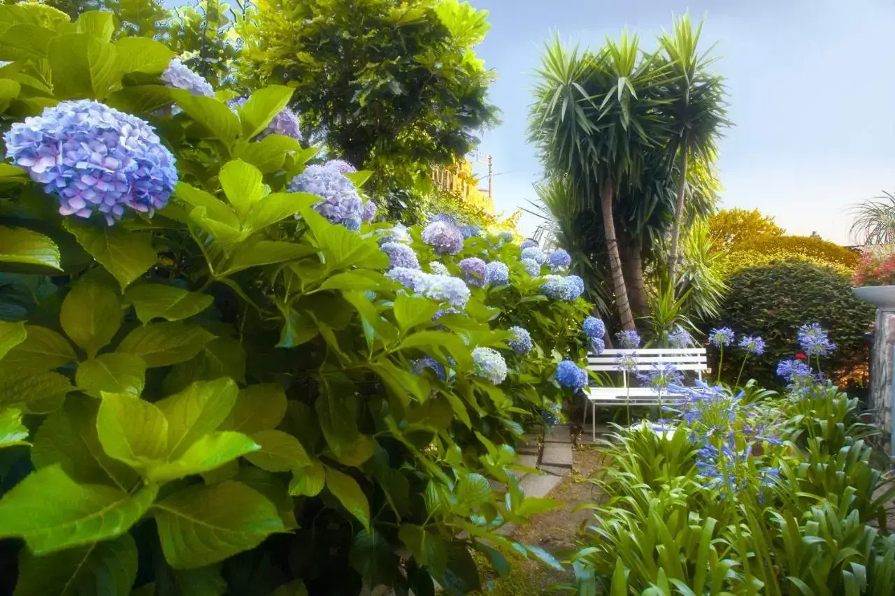 Foto - Hotel Regina Sorrento