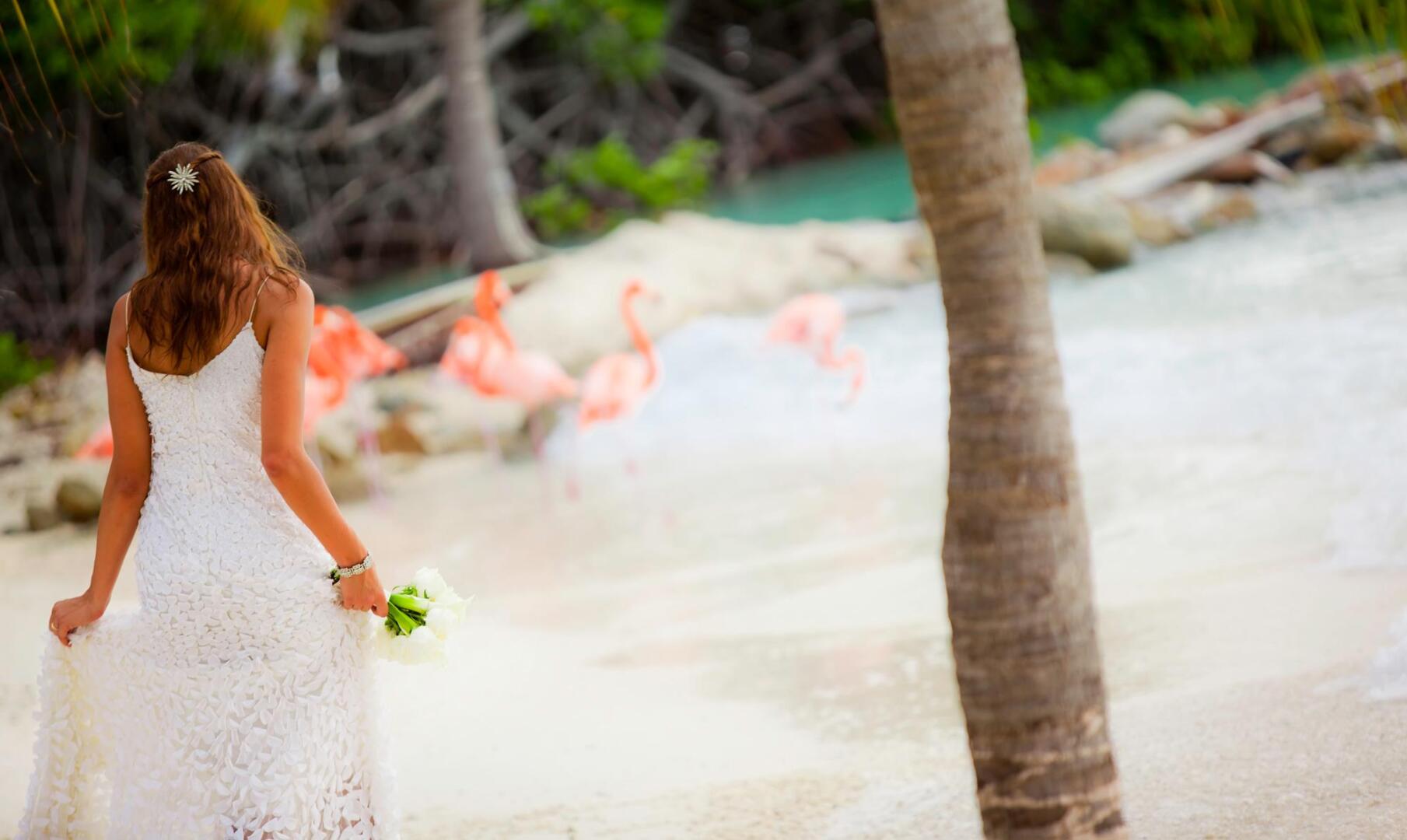 Foto - Renaissance Wind Creek Aruba Resort