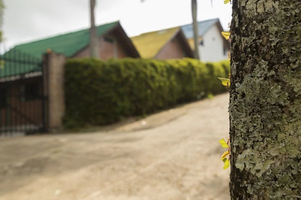 Foto - Ecovilla