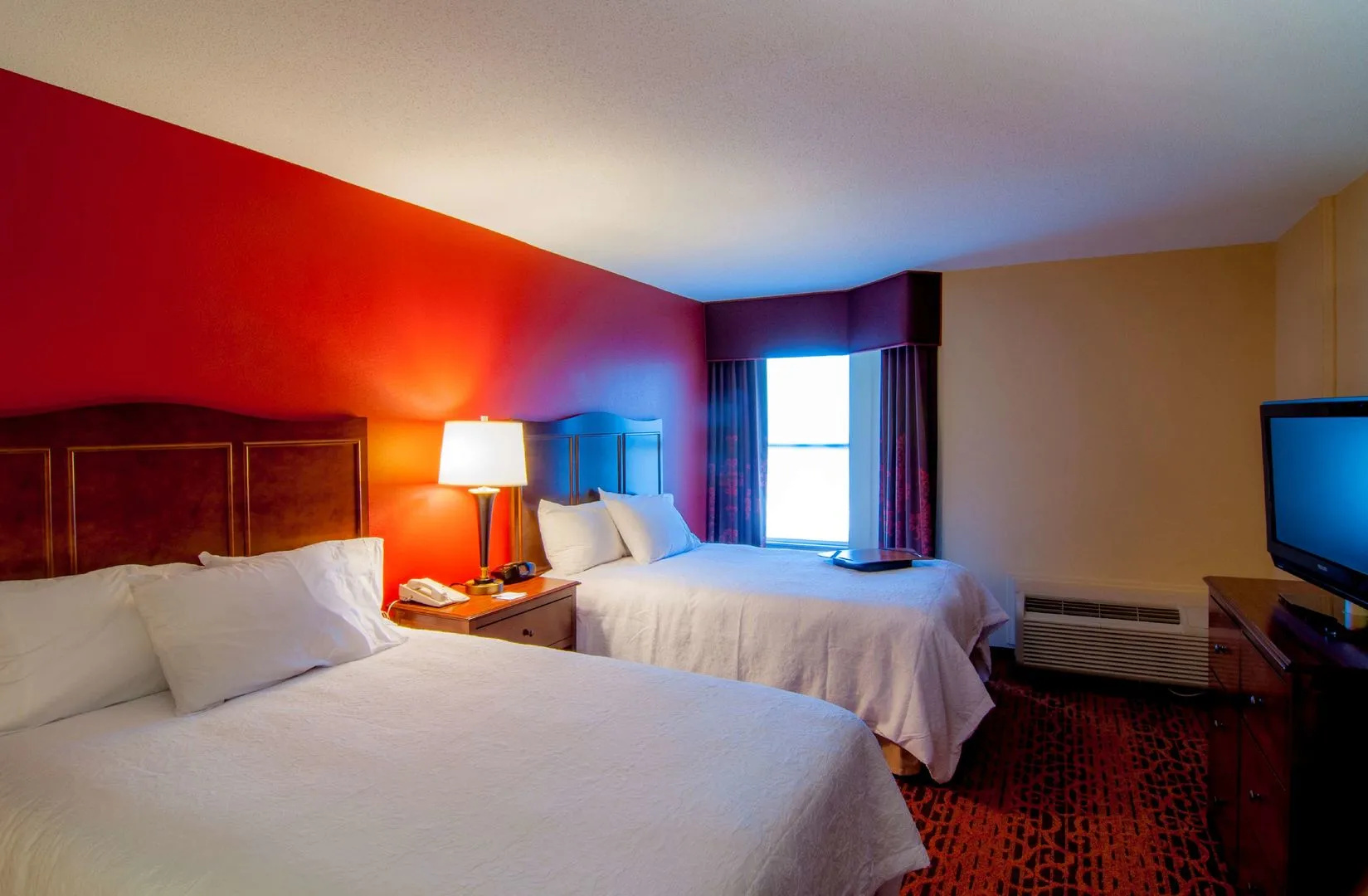 Foto - Hampton Inn & Suites Tampa-North