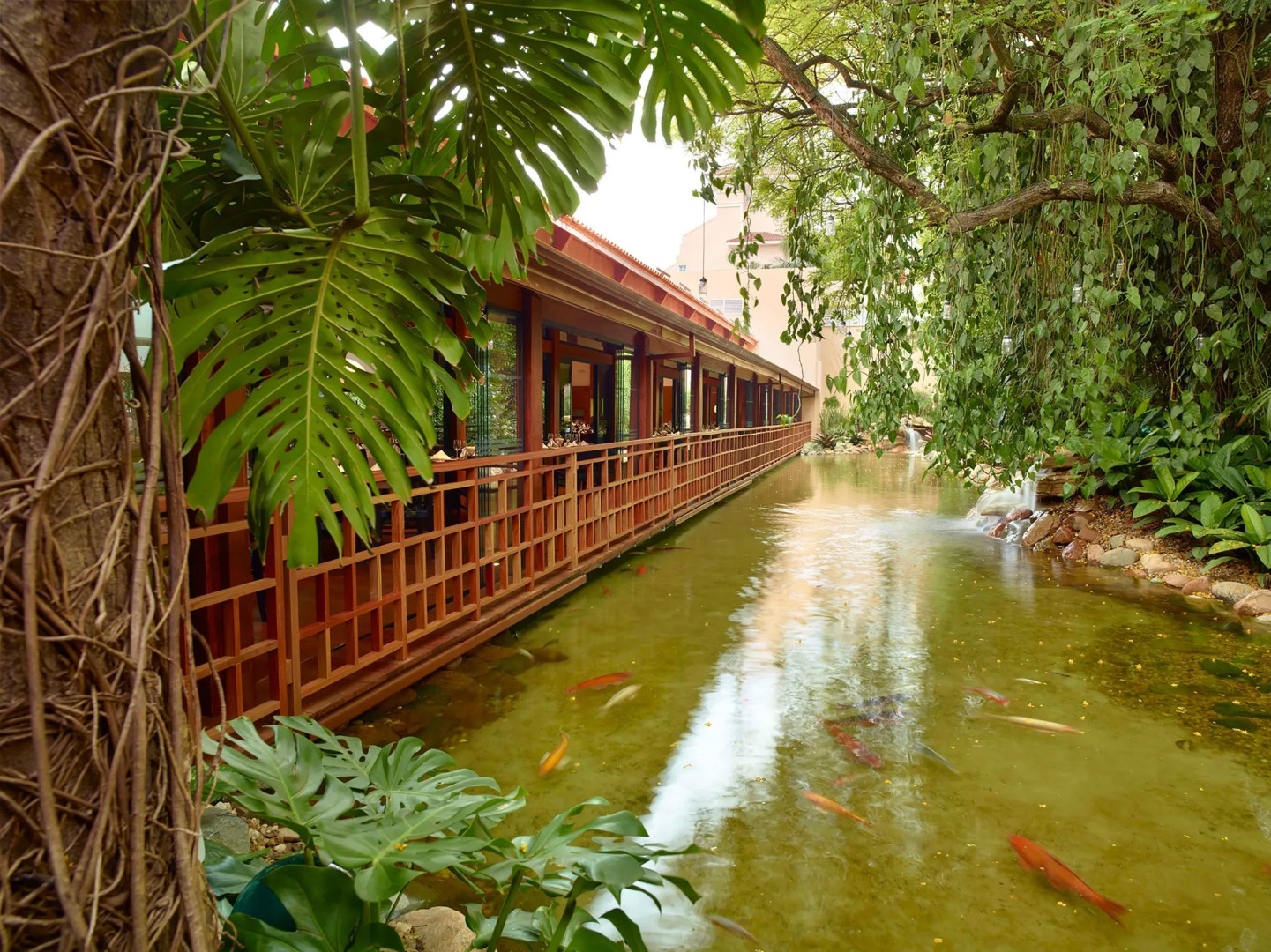 Foto - Royal Palm Plaza Resort