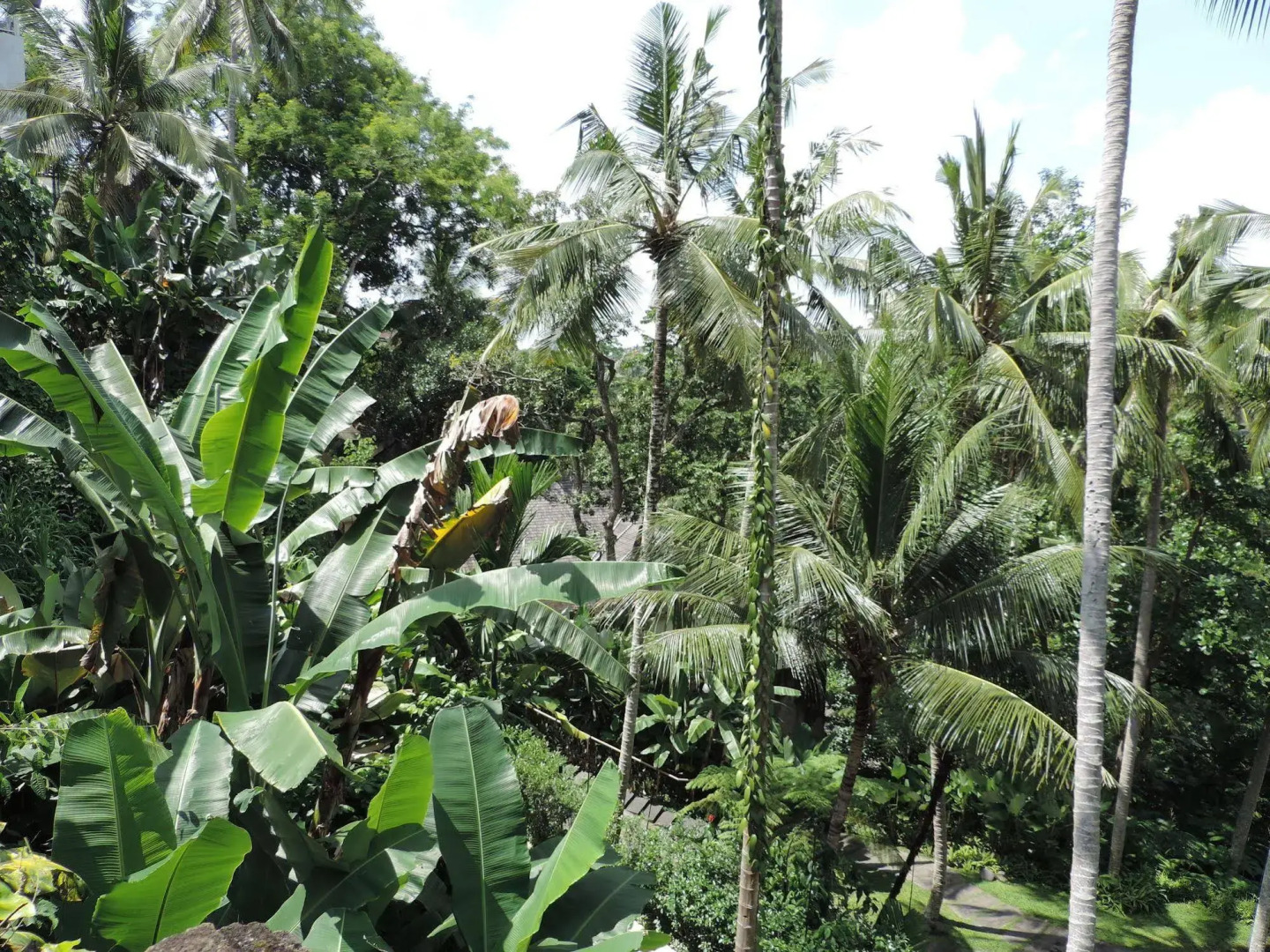 Foto - Nick's Hidden Cottages by Mahaputra