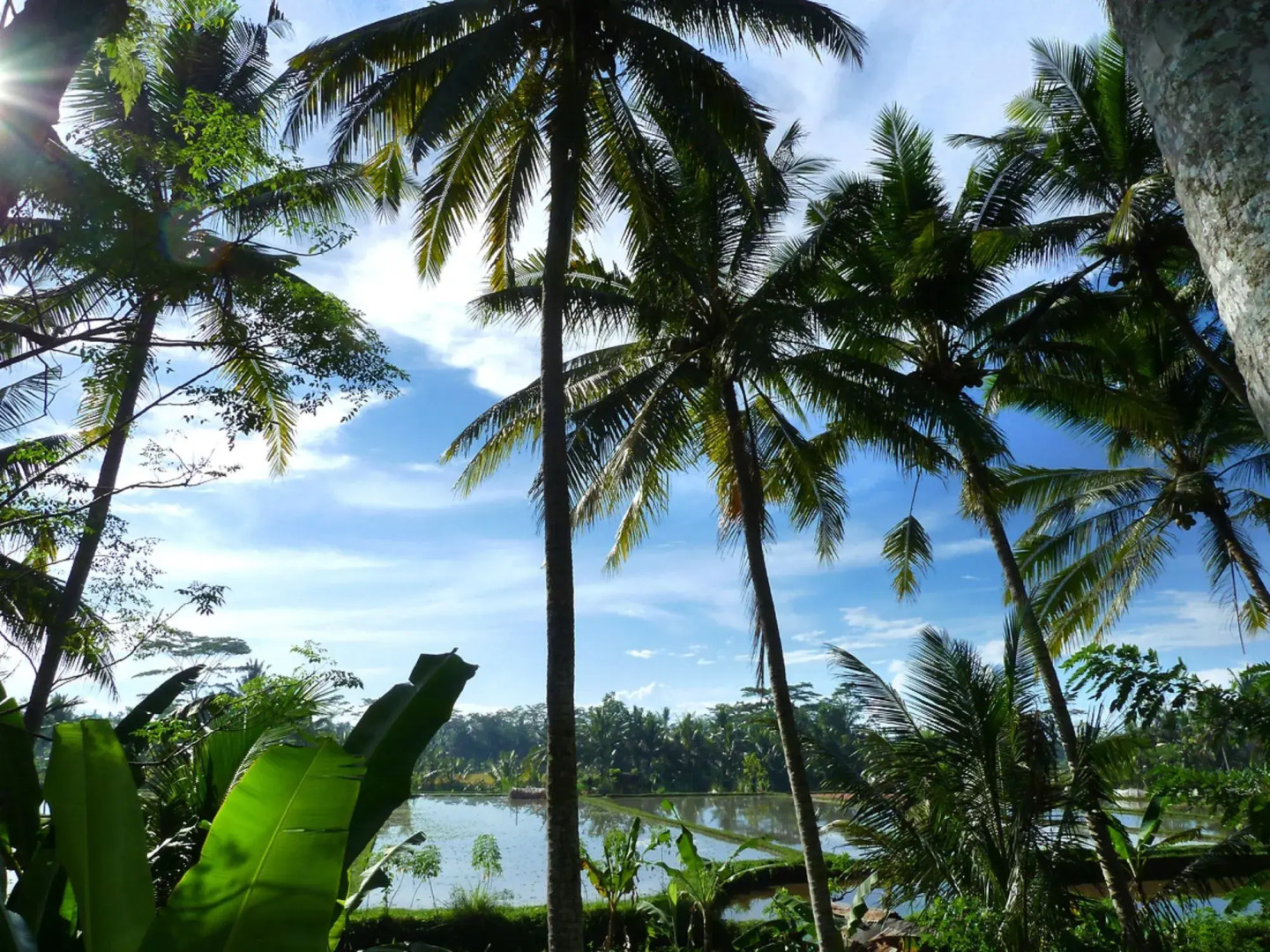 Photo - Temuku Ubud Villas