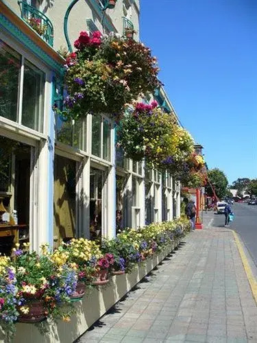 Foto - Swans Brewery, Pub & Hotel