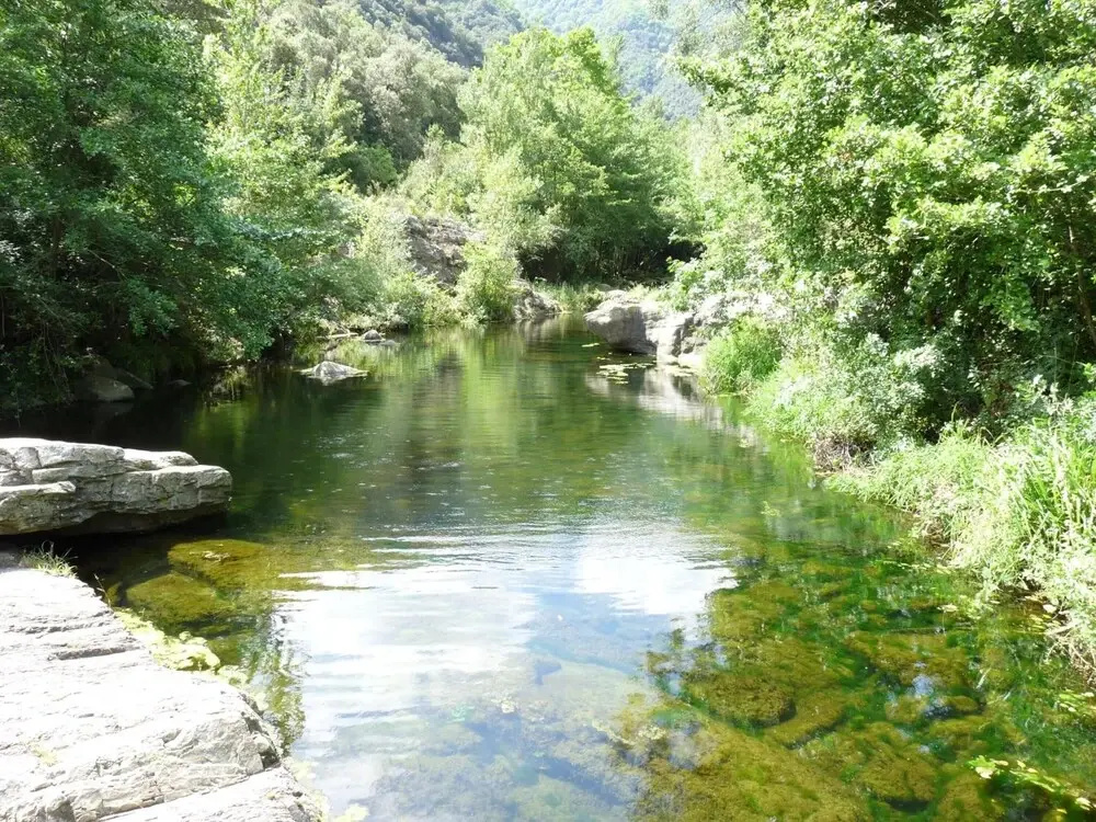 Photo - Mas els Terrats