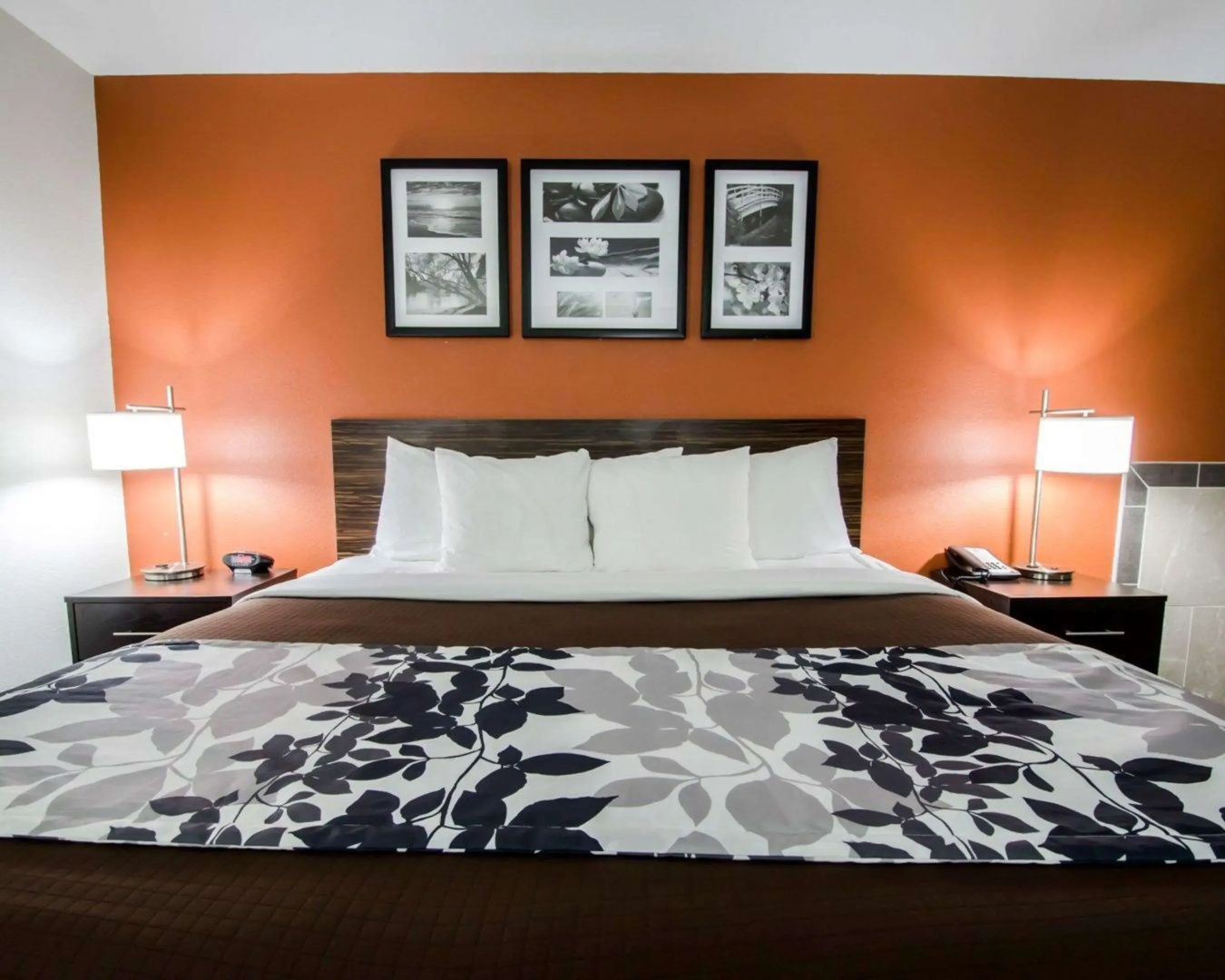 Foto - Sleep Inn & Suites And Conference Center Downtown