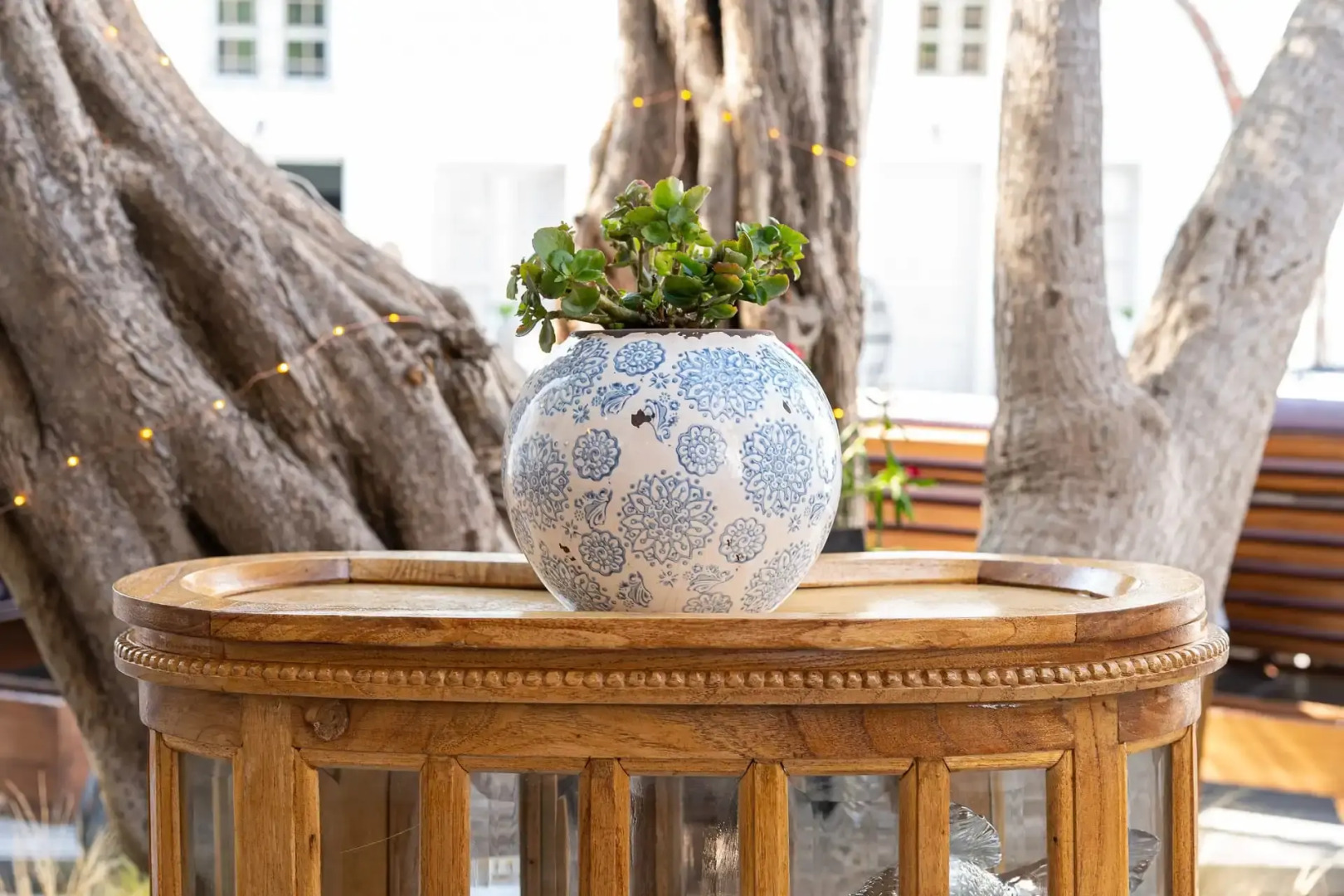 Foto - The Museum Project Oia