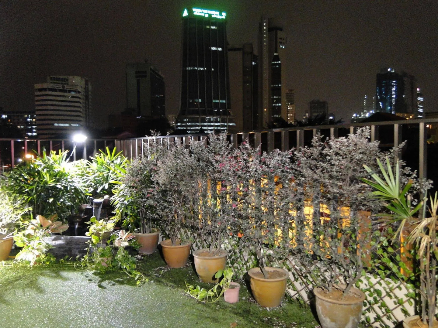 Foto - Rain Forest Hotel