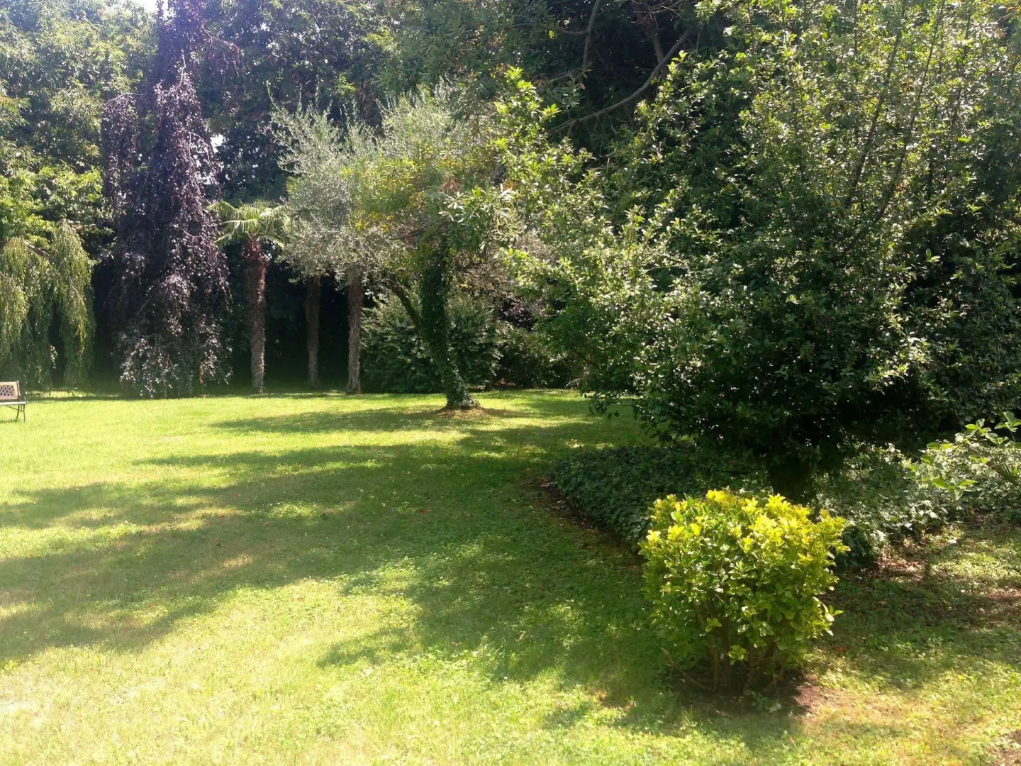 Foto - Villa Abbamer