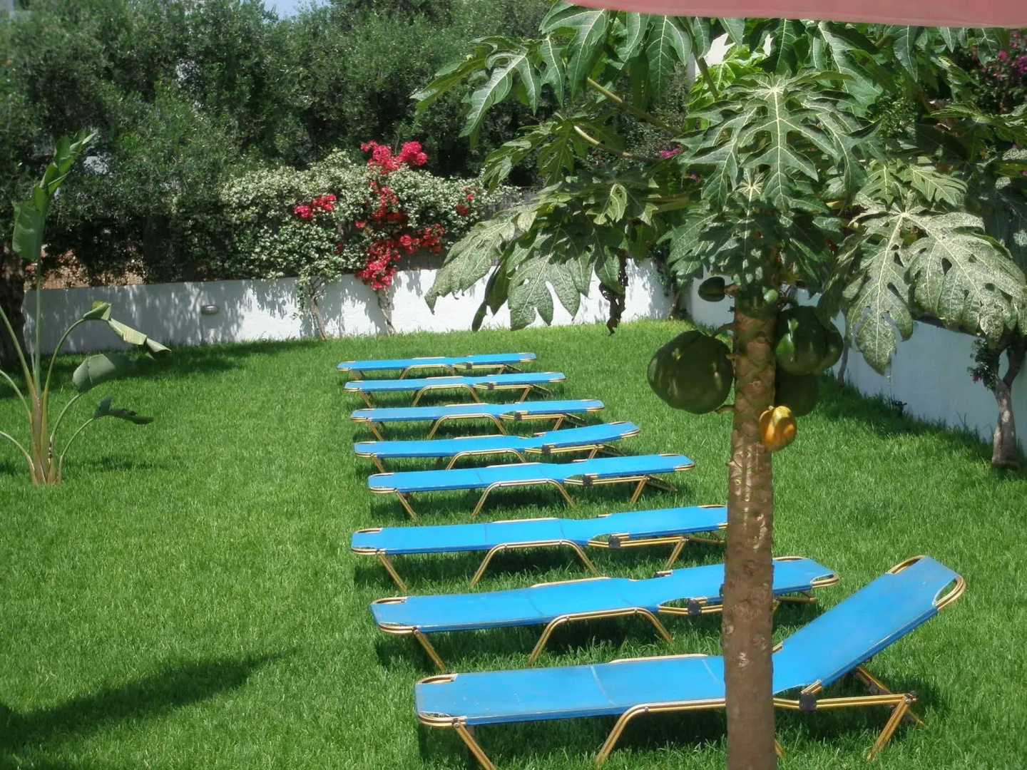 Foto - Emerald Hotel