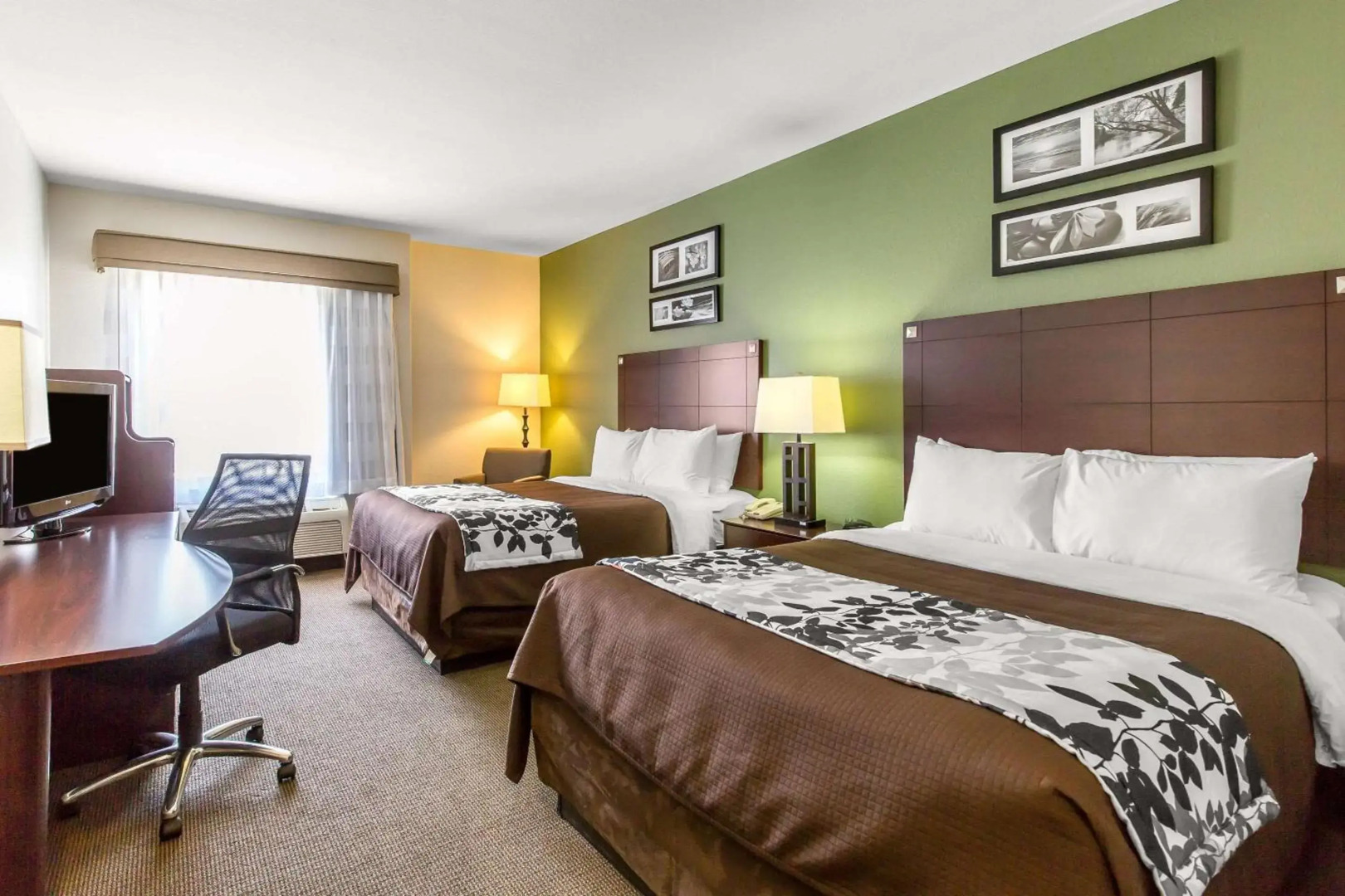 Foto - Sleep Inn & Suites Bush Intercontinental - IAH East
