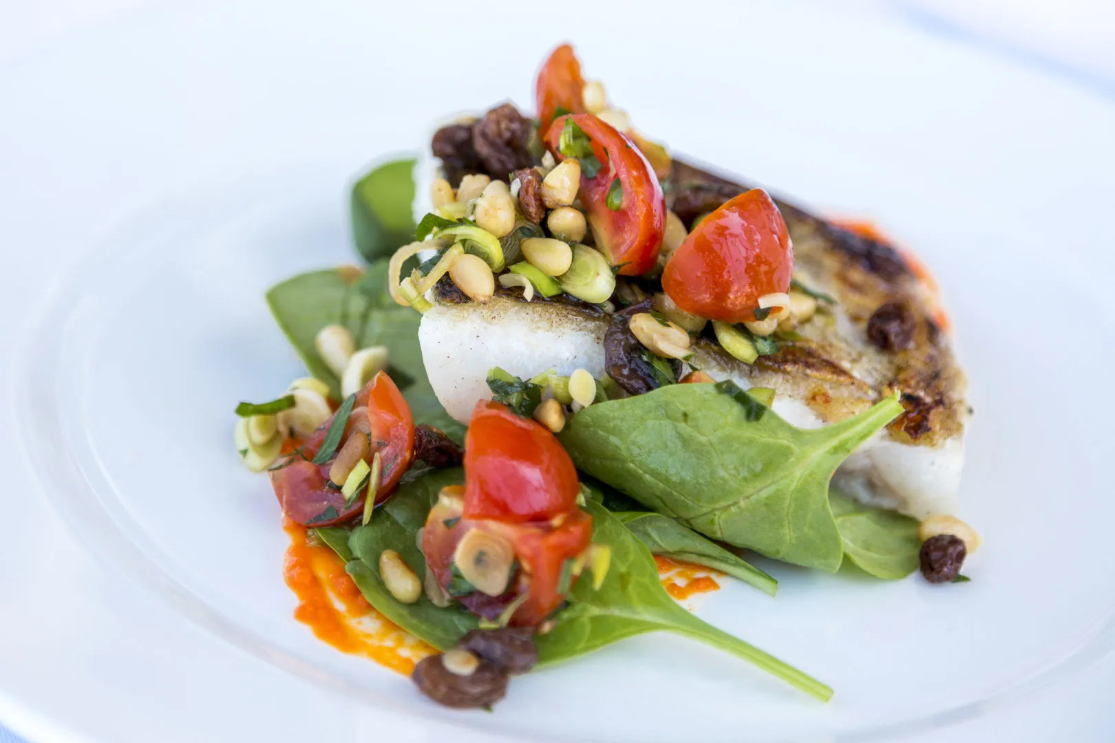 Photo - Barceló Hamilton Menorca - Adults Only