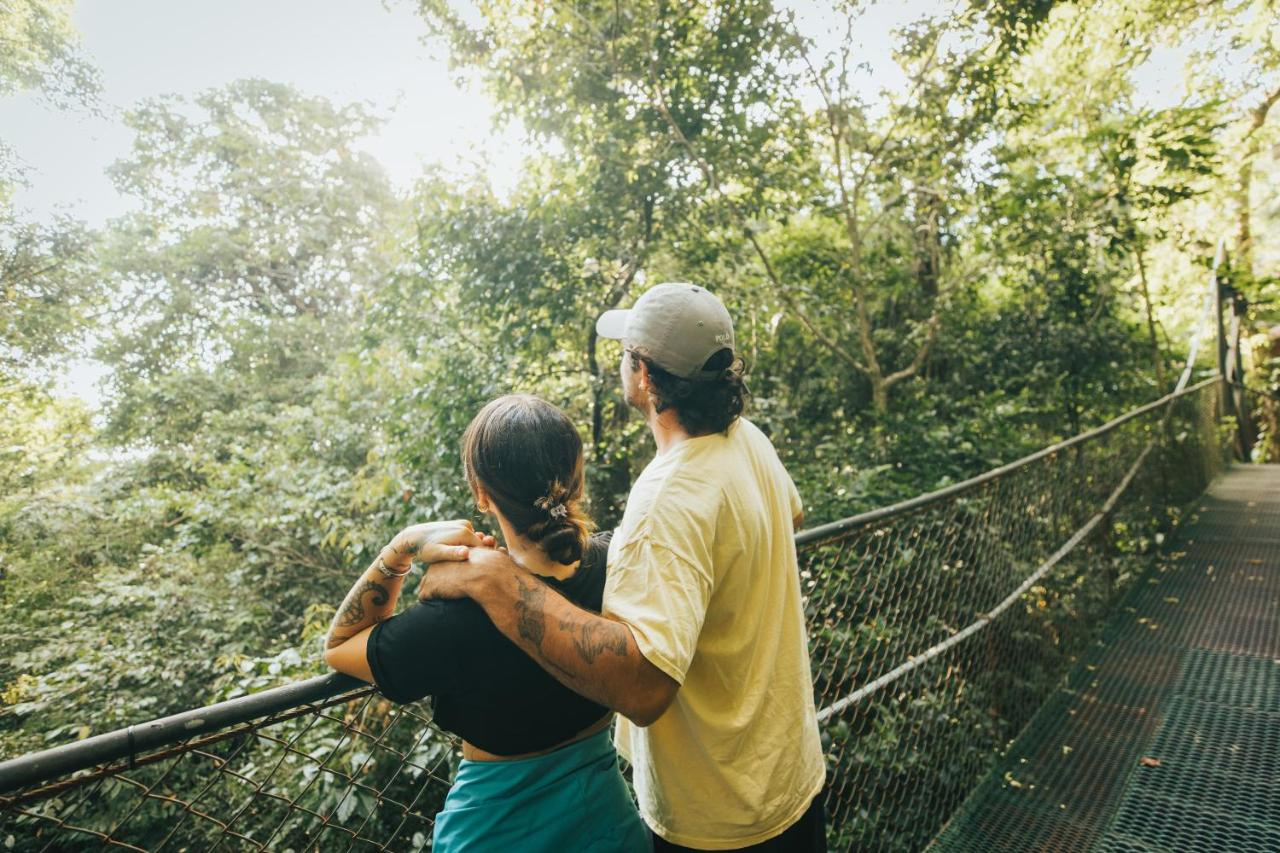 Foto - Jaguarundi Lodge