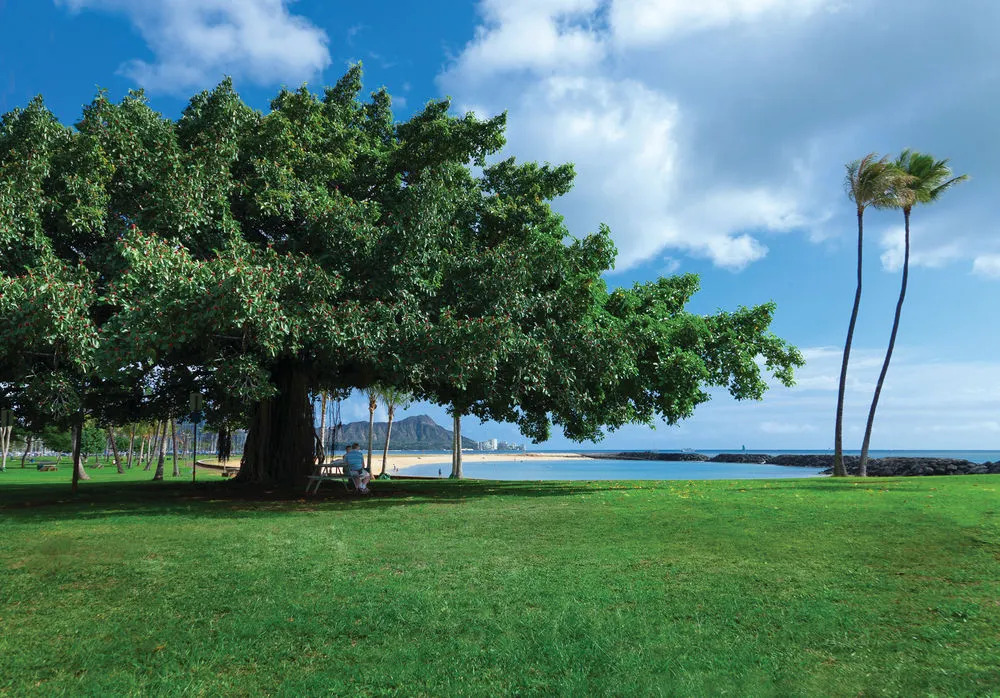 Foto - Ala Moana Honolulu by Mantra