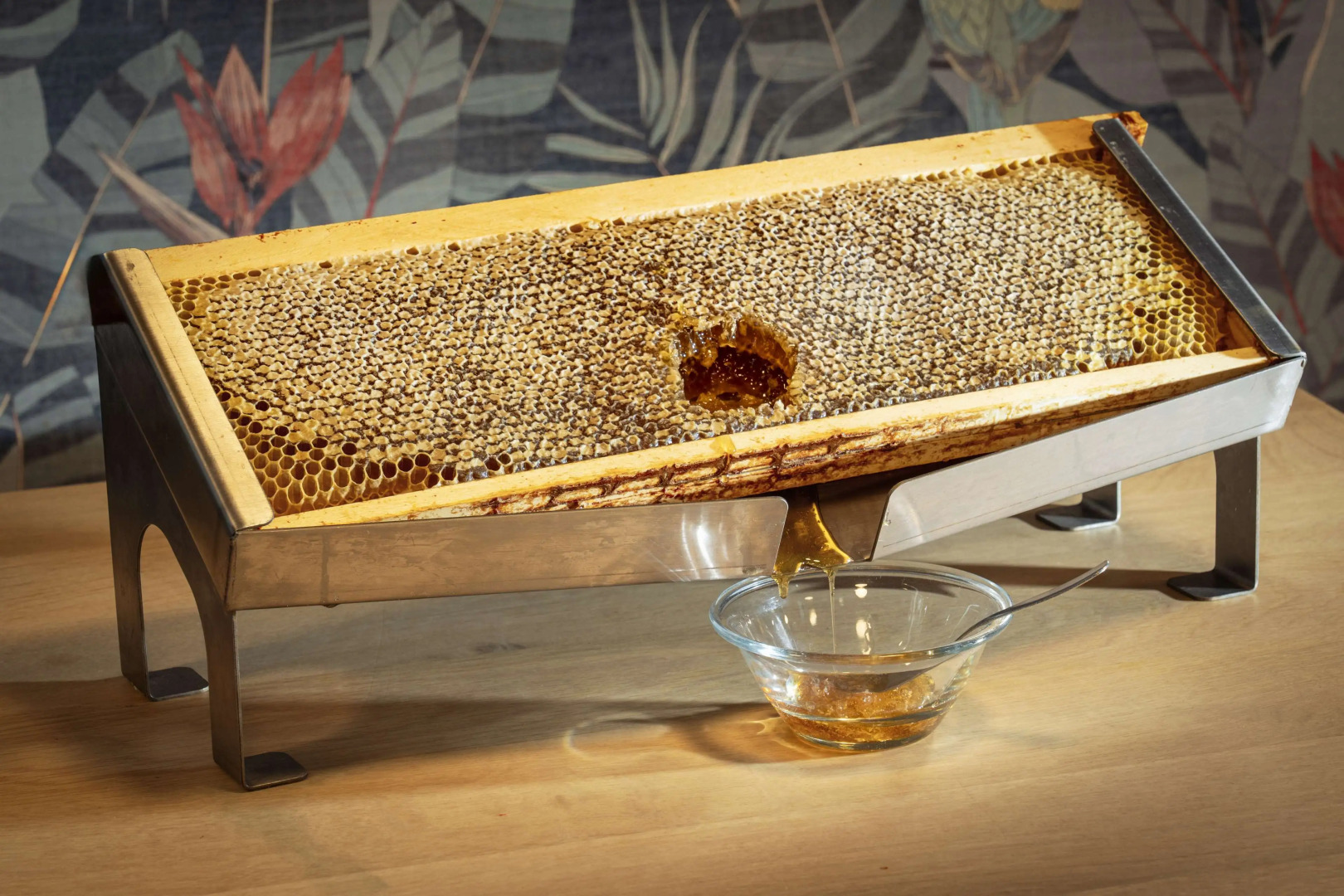 Foto - Best Western Plus Hotel De La Regate-Erdre