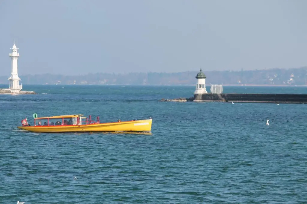 Photo - The New Midi