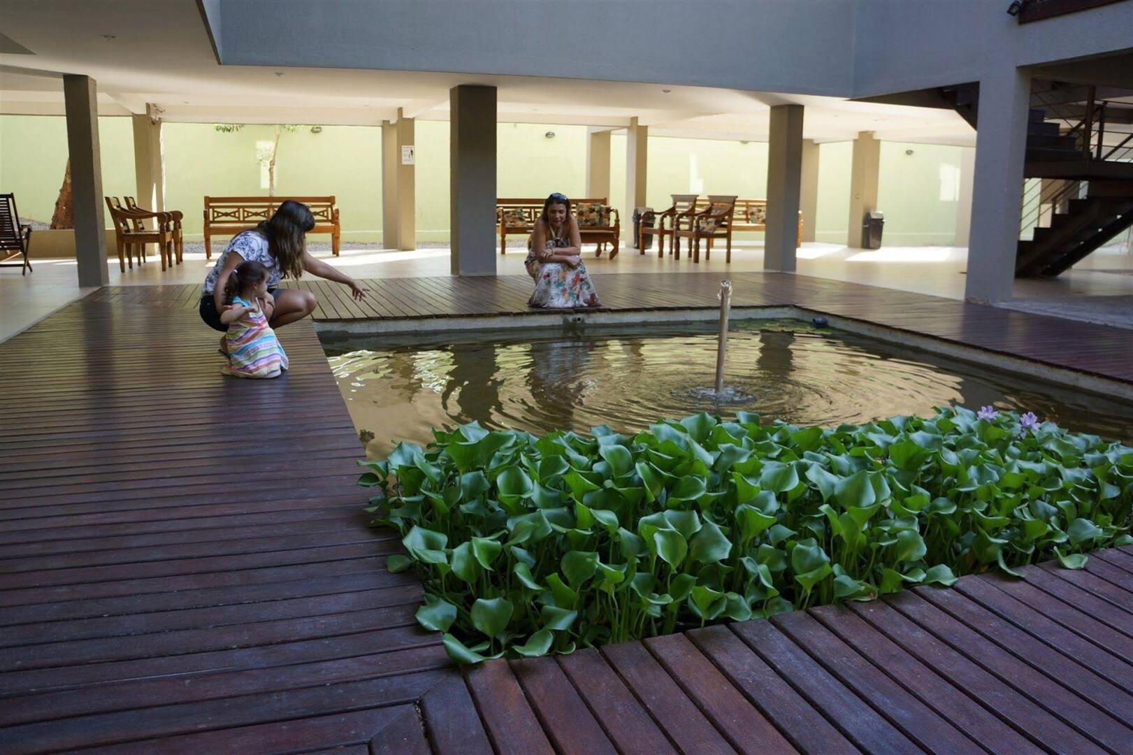 Foto - Pousada Aguas Claras