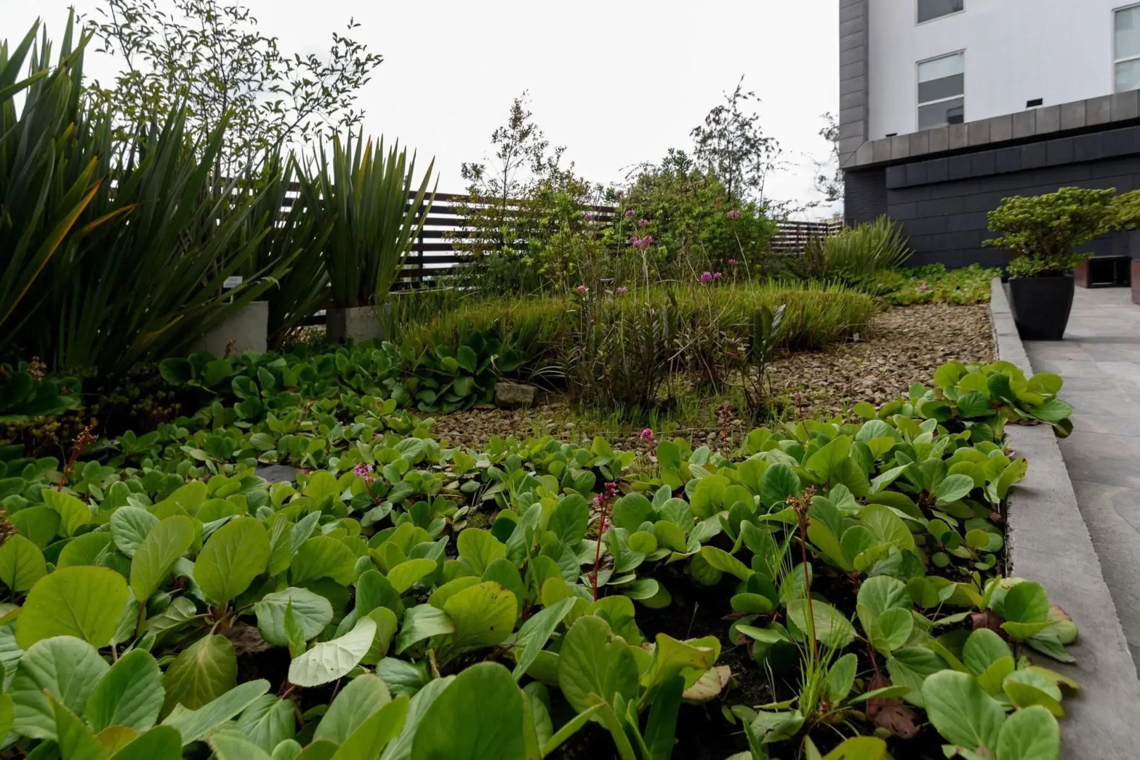 Foto - City Express Junior by Marriott Bogota Aeropuerto