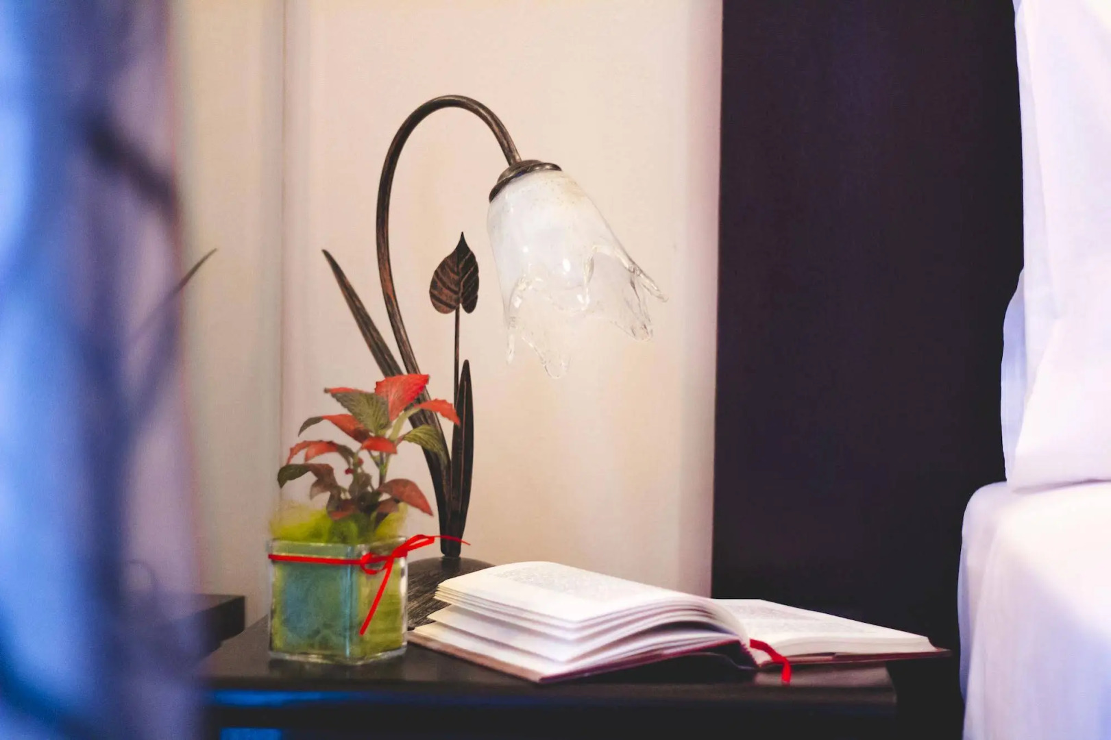 Foto - Zappion Hotel