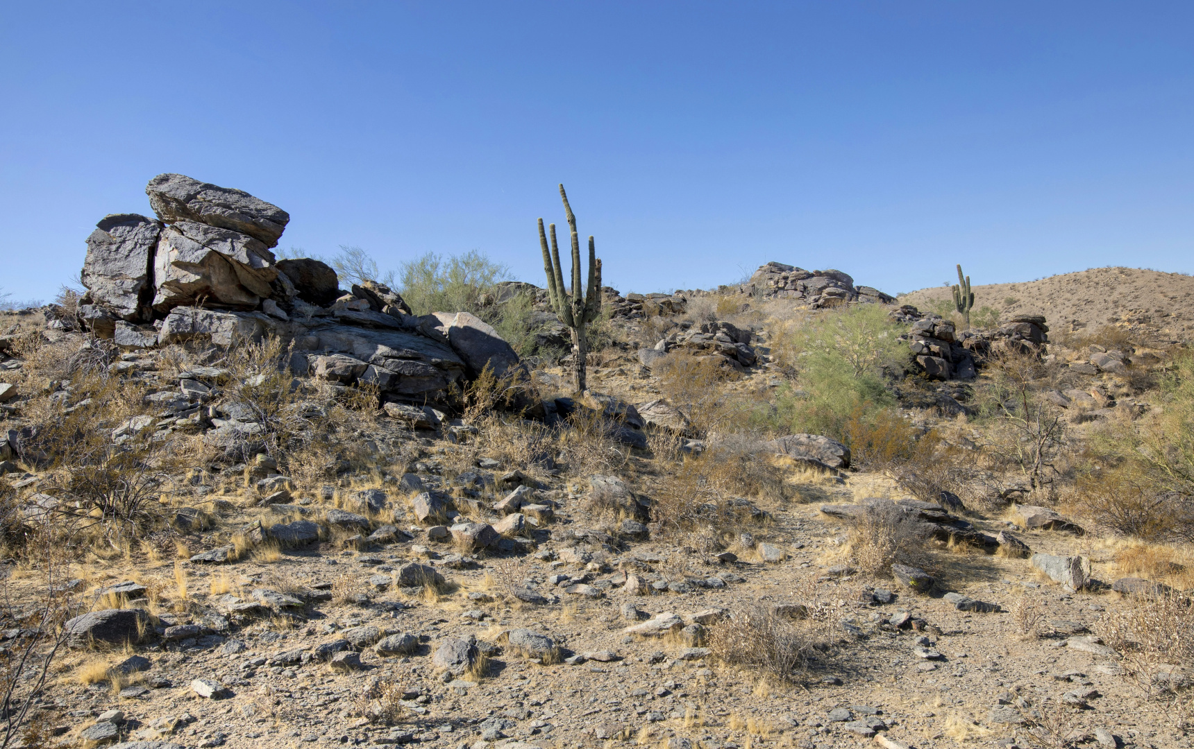 Photo - Raintree at Phoenix South Mountain Preserve