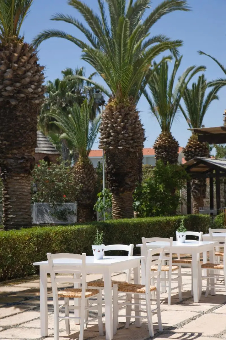 Foto - Sandy Beach Hotel & Spa