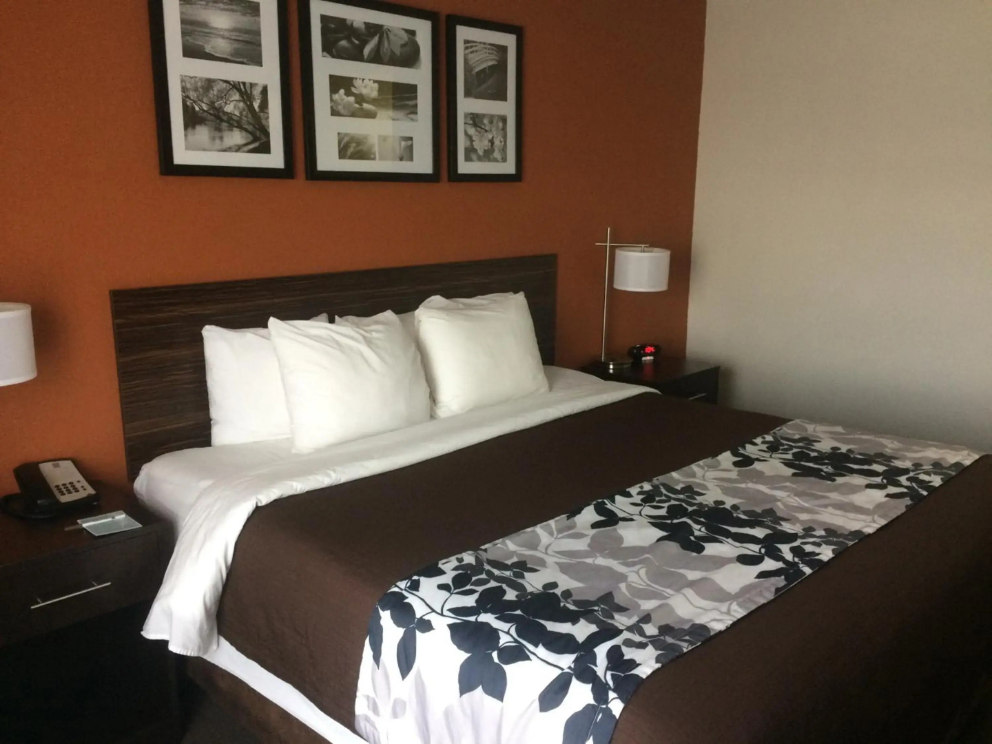 Foto - Sleep Inn & Suites And Conference Center Downtown