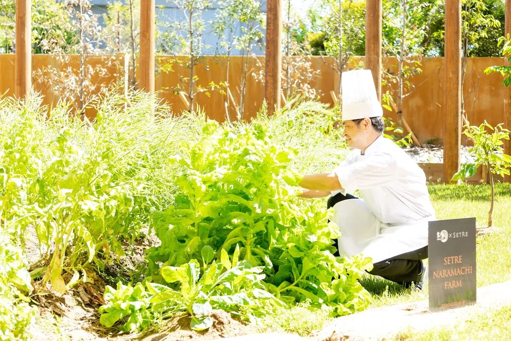 Photo - SETRE Naramachi セトレ ならまち