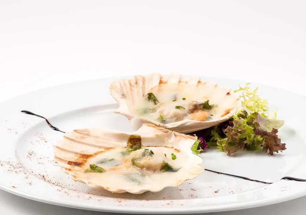 Foto - Talaso Atlántico