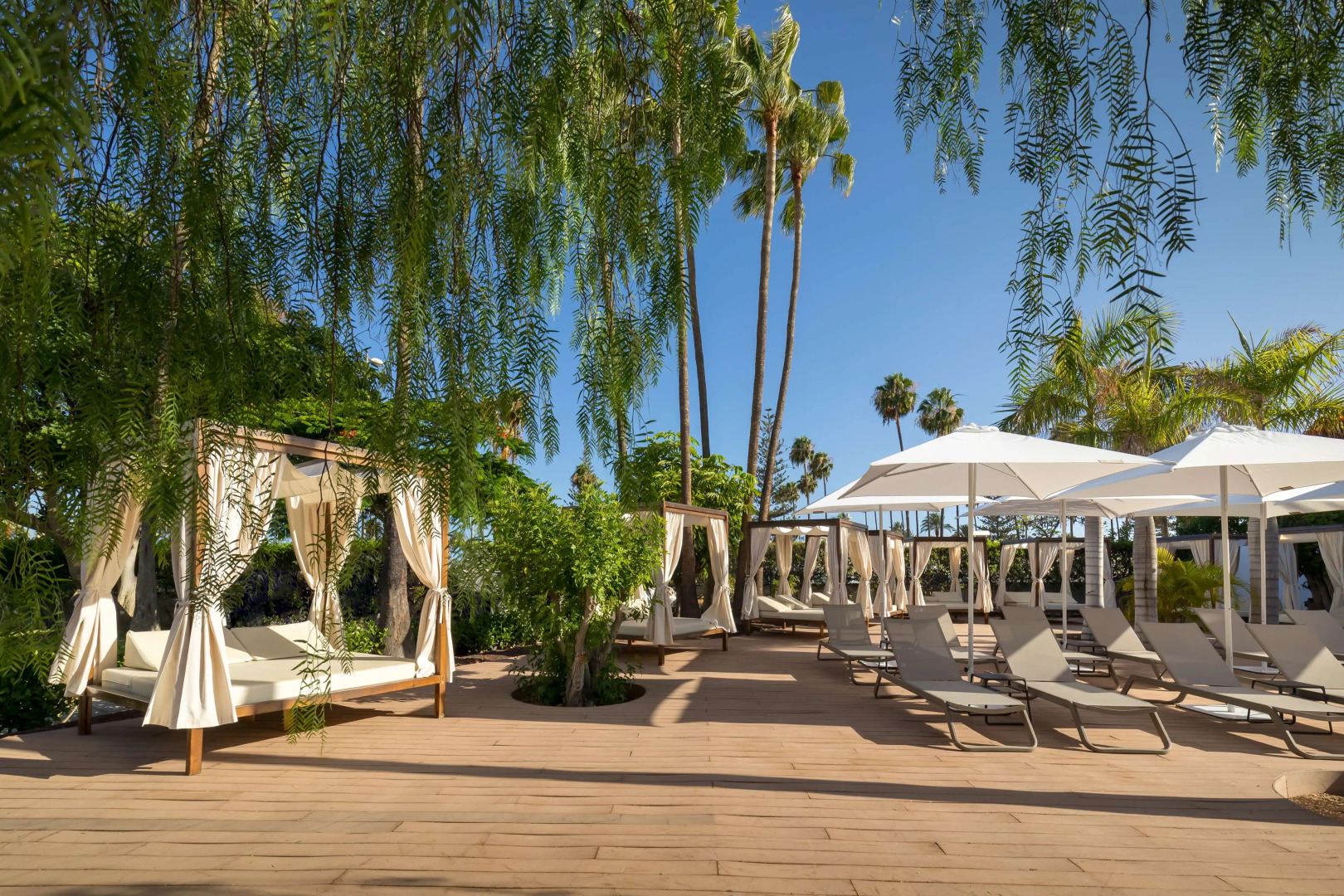 Foto - Barceló Margaritas Royal Level Adults Only